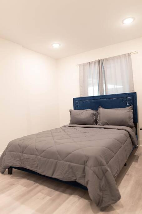 Platinum Palace 1Br 1Ba - Central Dallas Stay Esterno foto